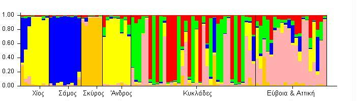 Οι διάφοροι υποπληθυσμοί για το είδος A. graeca φαίνεται να παρουσιάζουν ομοιογένεια μεταξύ τους (Εικόνα Γ.2.