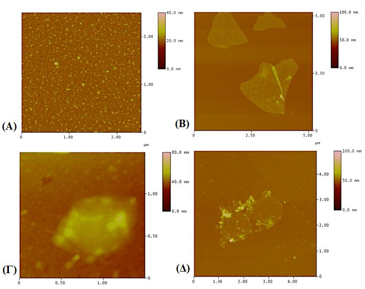 Εικόνα 9.1. AFM εικόνες ύψους (Α) του cyt c, (Β) του GO, (Γ) του ομοιοπολικά ακινητοποιημένου cyt c στο GO, και (Δ) του ομοιοπολικά ακινητοποιημένου cyt c στο GO-C 6 - NH 2.