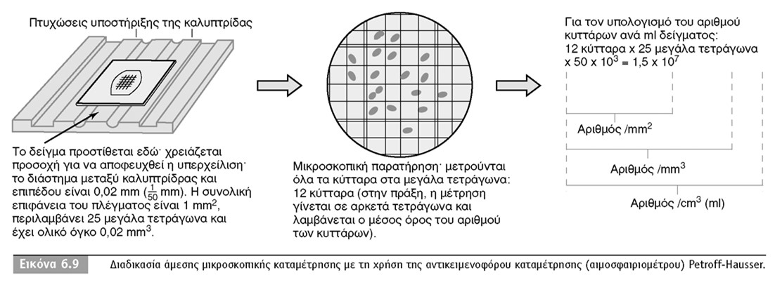 βακτήρια Gram- Χρώση Gram