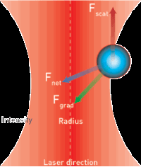 ακτινοβολίας Το σωματίδιο συμπεριφέρεται σαν δίπολο, σε ανομοιογενές ηλεκτρικό πεδίο.