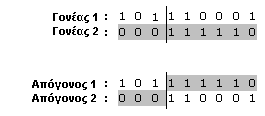 28 Κεφάλαιο δεύτερο το δεύτερο καλύτερο µε πιθανότητα p*(1-p) και τρίτο καλύτερο µε πιθανότητα p*(1-p) 2, κοκ Στην απλούστερη περίπτωση, όπου το p ισούται µε 1, επιλέγεται πάντα το καλύτερο. 2.2.3