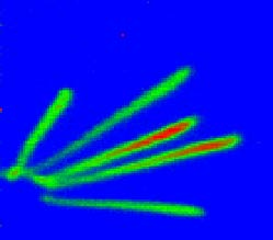 Καμπύλες Bragg Τροχίες από σωματίδια α σε ανιχνευτή micro-strip