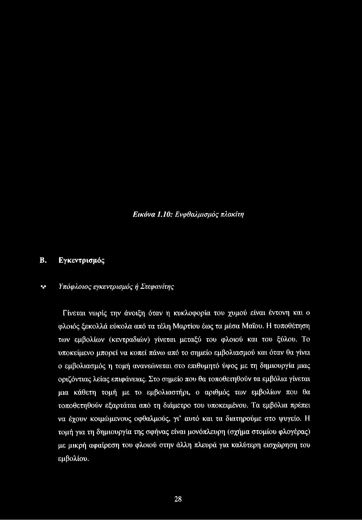 έντονη και ο φλοιός ξεκολλά εύκολα από τα τέλη Μαρτίου έως τα μέσα Μάΐου.