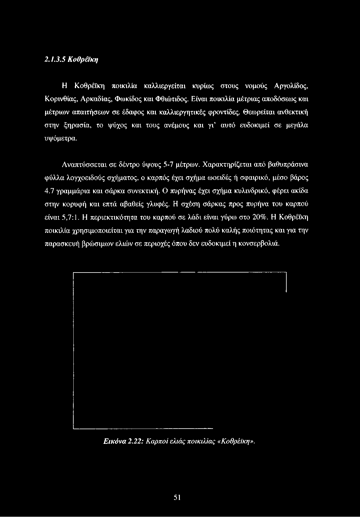 Θεωρείται ανθεκτική στην ξηρασία, το ψύχος και τους ανέμους και γι αυτό ευδοκιμεί σε μεγάλα υψόμετρα. Αναπτύσσεται σε δέντρο ύψους 5-7 μέτρων.