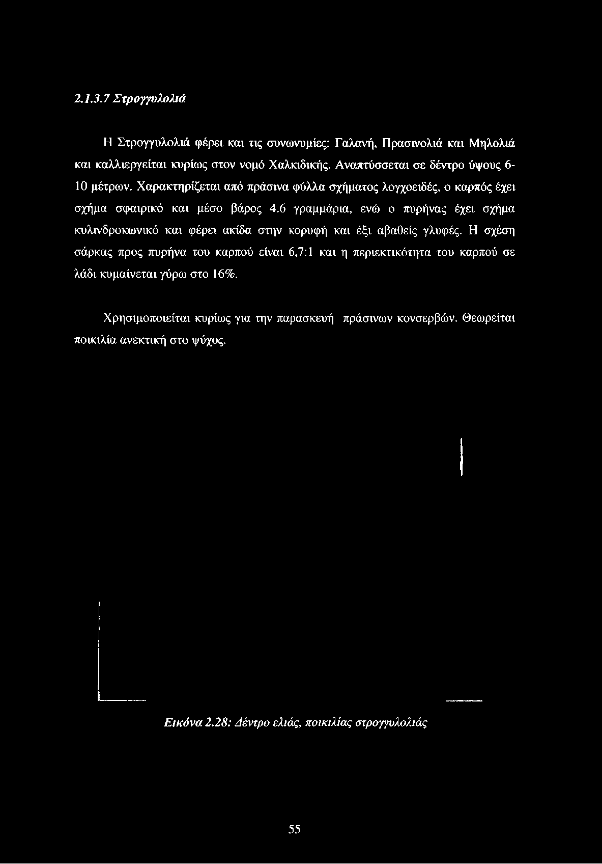 κυρίως στον νομό Χαλκιδικής. Αναπτύσσεται σε δέντρο ύψους 610 μέτρων.