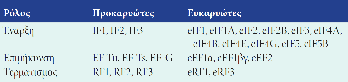 Η διαδικασία της μετάφρασης IF= Initiator Factor EF= Elongation Factor RF= Release