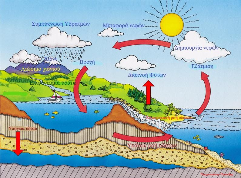 6. Τι είναι ο κύκλος του νερού; Περιγράψτε τον. Κύκλος του νερού είναι η αδιάκοπη κυκλοφορία του νερού στη φύση και επιτυγχάνεται μέσα από διαδικασίες που επαναλαμβάνονται συνεχώς.