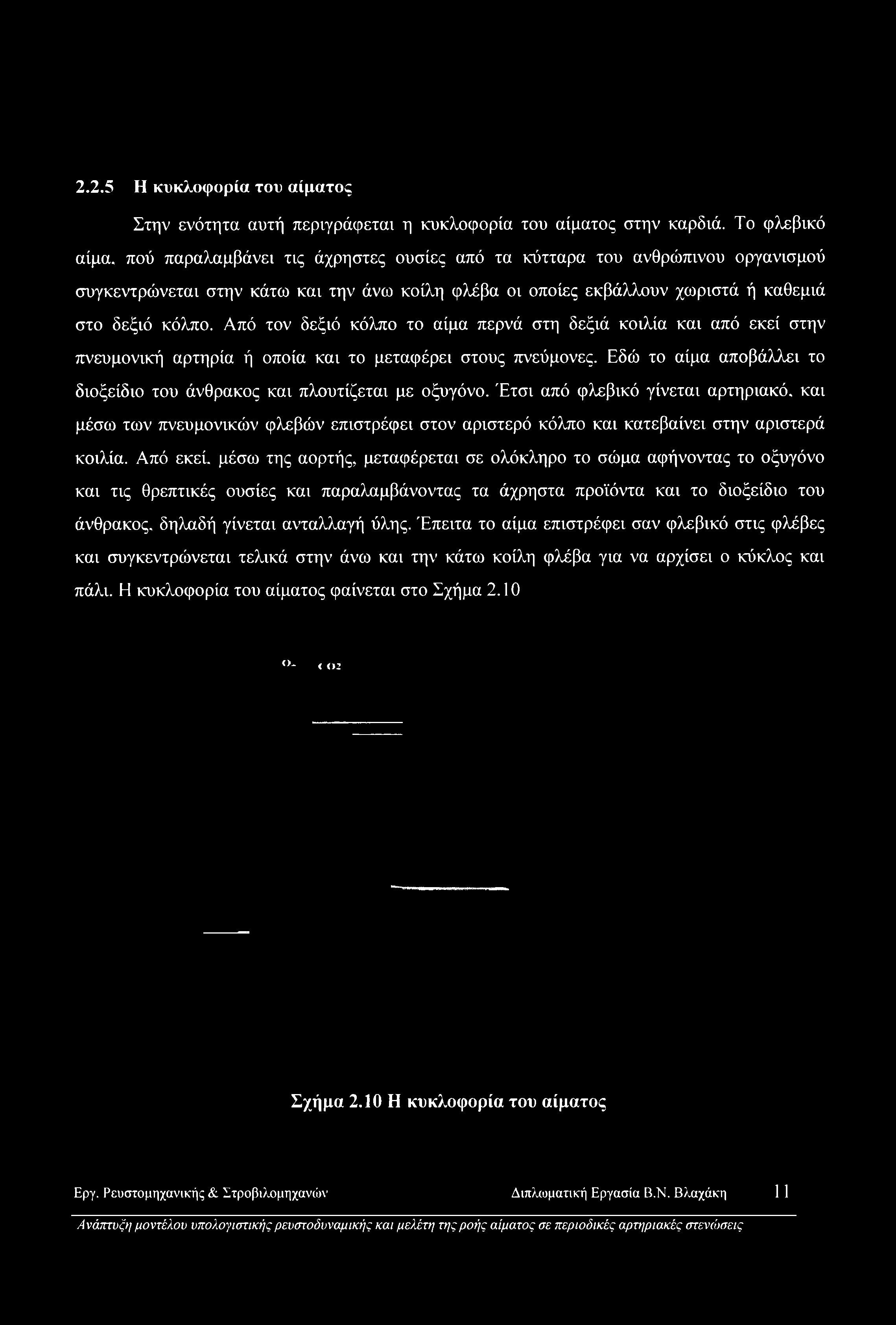 Από τον δεξιό κόλπο το αίμα περνά στη δεξιά κοιλία και από εκεί στην πνευμονική αρτηρία ή οποία και το μεταφέρει στους πνεύμονες.