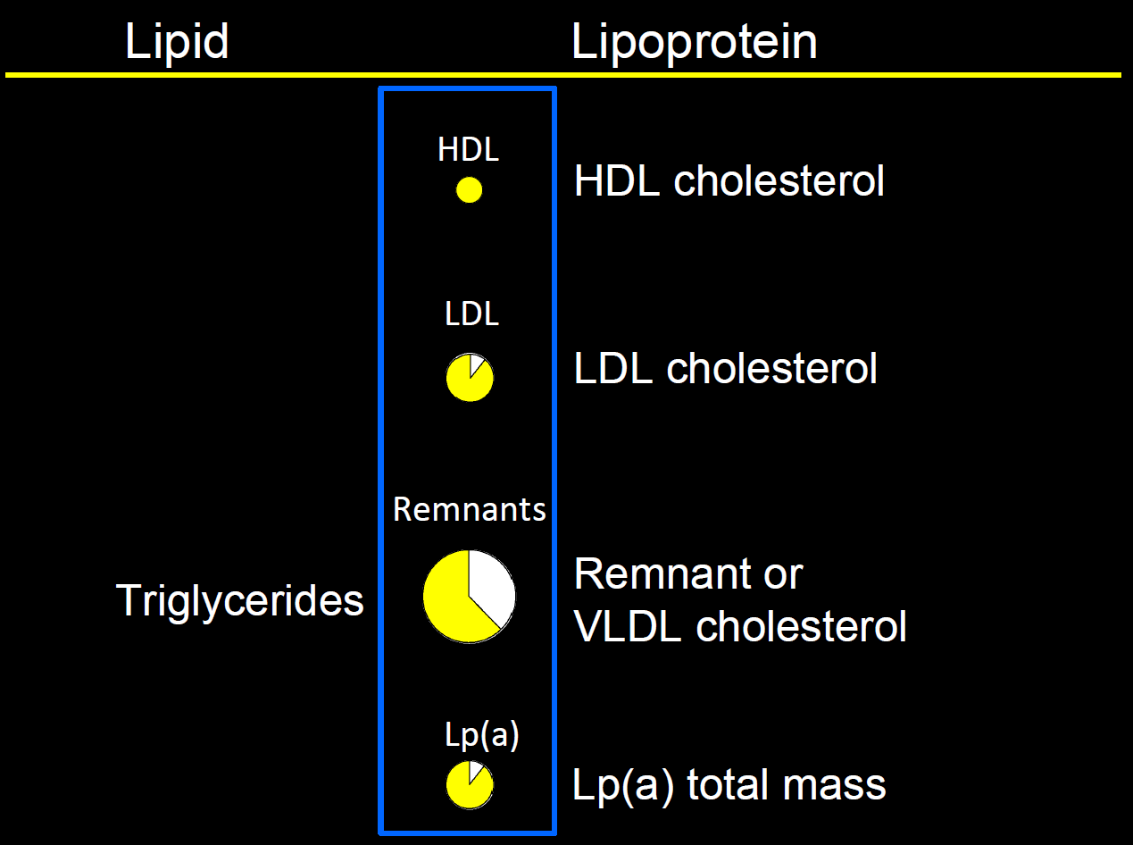 LIPOPROTEINS APOAI