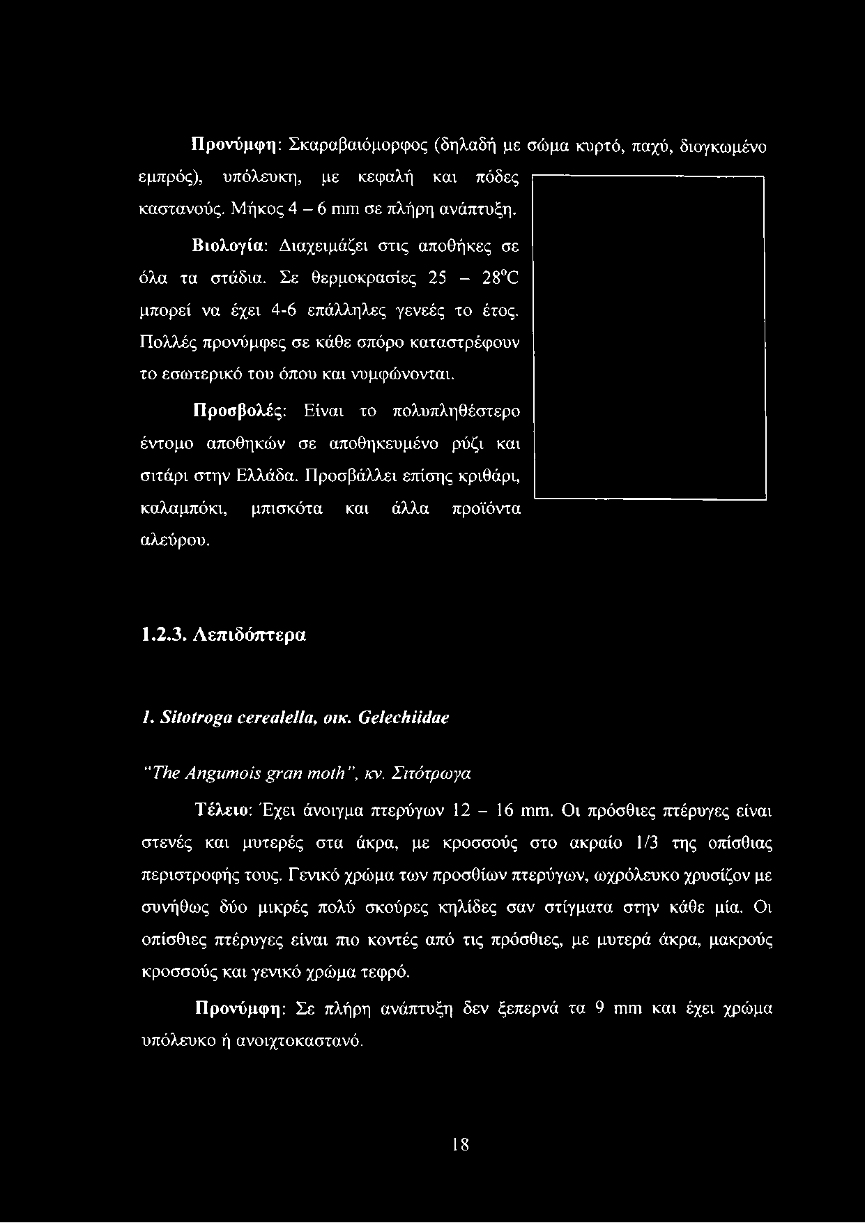 Πολλές προνύμφες σε κάθε σπόρο καταστρέφουν το εσωτερικό του όπου και νυμφώνονται. Προσβολές: Είναι το πολυπληθέστερο έντομο αποθηκών σε αποθηκευμένο ρύζι και σιτάρι στην Ελλάδα.