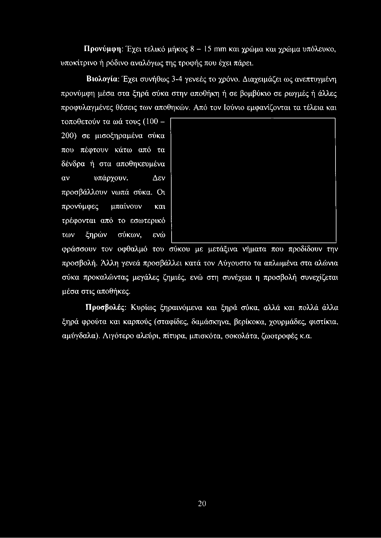 Από τον Ιούνιο εμφανίζονται τα τέλεια και τοποθετούν τα ωά τους (100-200) σε μισοξηραμένα σύκα που πέφτουν κάτω από τα δένδρα ή στα αποθηκευμένα αν υπάρχουν.