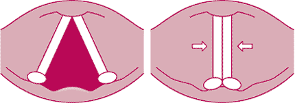 ΚΕΦΑΛΑΙΟ 2 15 Sz ( ) = G'( zh ) ( z) (2.