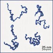 تعریف پلیمر و مونومر و تفاوت آنها : شکل 1-2 دائره المعارف بریتانیکا در مورد مونومر چنین می گوید : مولکولی از هر دسته ترکیبات ( اغلب ارگانیک (که می تواند با مولکول های همانند خود یا از نوع دیگر واکنش