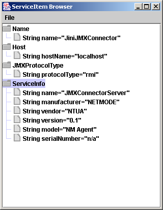 Σχήµα 3.2.2 Όψη των attributes που εγγράφει ο JINIConnector στο lookup service. Τα attributes Host και JMXProtocolType, τοποθετούνται υποχρεωτικά.