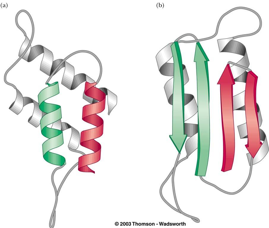 Ασθένειες που σχετίζοντα άμεσα με την Prion diseases (Proteinaceous infectious particle) e.g.