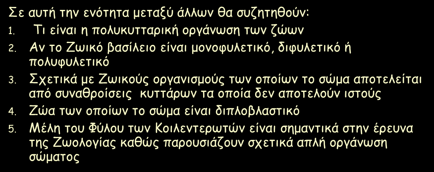 Ορισμένες βασικές αρχές Σε αυτή την ενότητα μεταξύ άλλων θα συζητηθούν: 1. Τι είναι η πολυκυτταρική οργάνωση των ζώων 2. Αν το Ζωικό βασίλειο είναι μονοφυλετικό, διφυλετικό ή πολυφυλετικό 3.