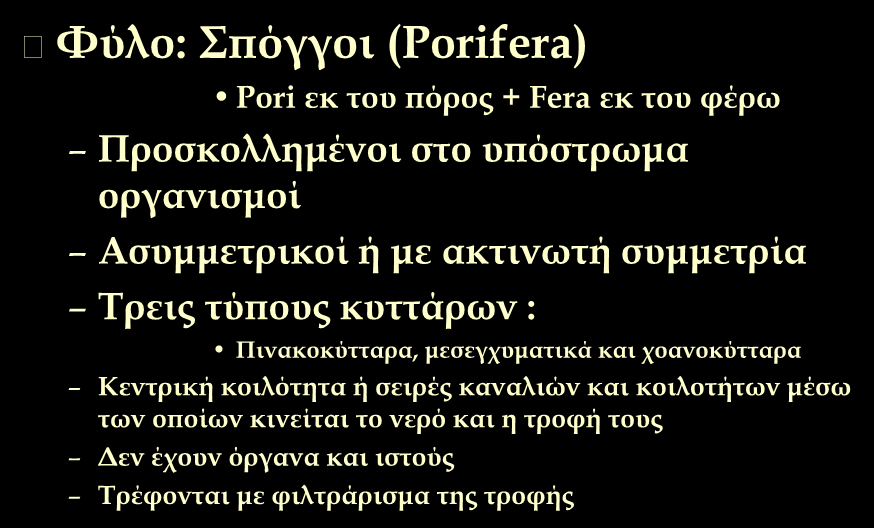 Φύλο: Σπόγγοι (Porifera) Pori εκ του πόρος + Fera εκ του φέρω Προσκολλημένοι στο υπόστρωμα