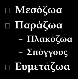 Διάκριση πολυκύτταρων οργανισμών