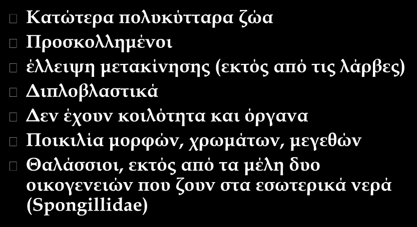 Χαρακτηριστικά των σπόγγων Κατώτερα πολυκύτταρα ζώα Προσκολλημένοι έλλειψη μετακίνησης (εκτός από τις λάρβες) Διπλοβλαστικά Δεν έχουν