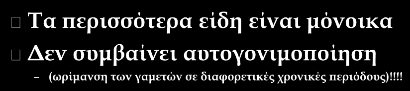 Αναπαραγωγή των σπόγγων Τα περισσότερα είδη είναι μόνοικα Δεν συμβαίνει αυτογονιμοποίηση (ωρίμανση των