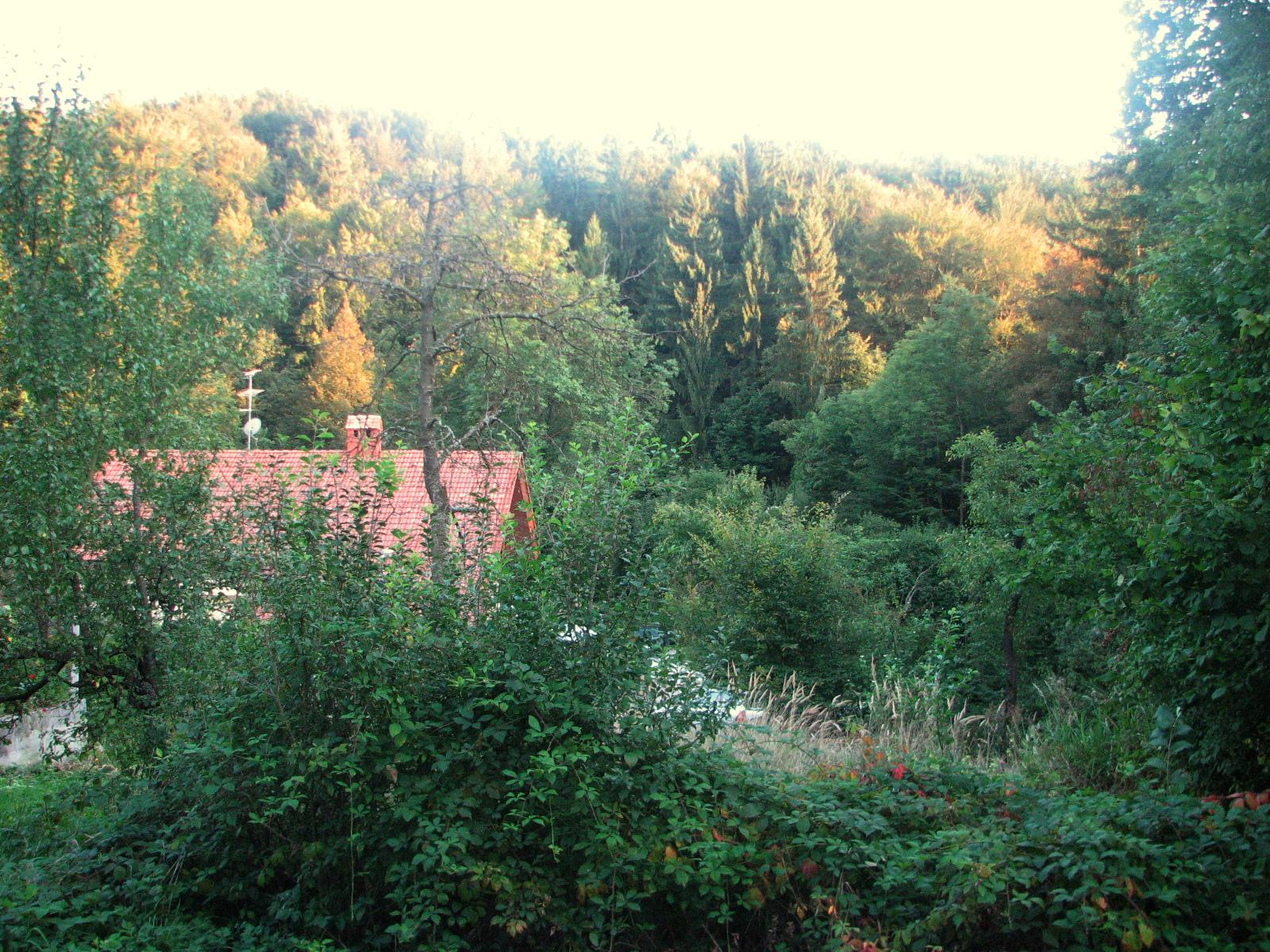 POGLED S PARCELE PROTI JUGU Stanovanjska hiša se nahaja na idiličnem južnem robu vasi Sveta Trojica pri Dobu in ima odprt pogled na okoliški gozd.