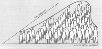 4.2.3 Interprétation des biais La représentation graphique de la