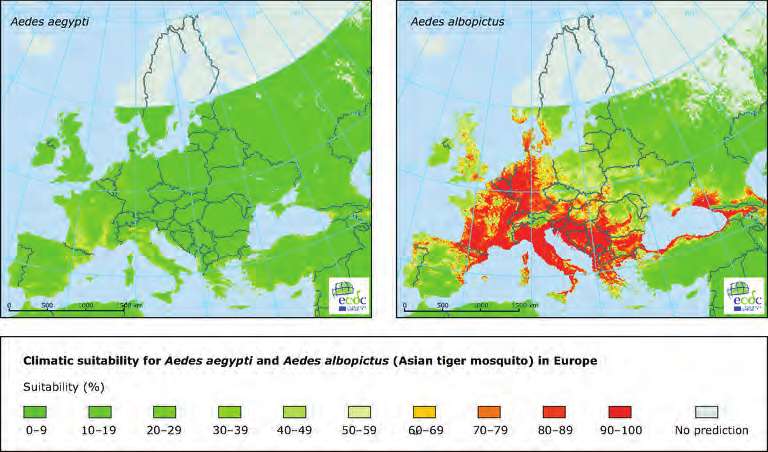 Κλιµατική αλλαγή. Σχήµα : Κλιµατική καταλληλότητα για το κουνούπι Aedes aegypti.