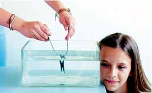 Πείραμα Ακούμπησε το αφτί σου στο τοίχωμα μιας λεκάνης που περιέχει νερό. Ένας συμμαθητής ή μία συμμαθήτριά σου χτυπάει δύο κουτάλια μέσα στο νερό προσέχοντας να μην ακουμπούν τη λεκάνη.