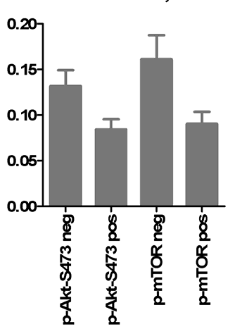 A B PHLPP1 PHLPP2 STAT5A p16 (κυτ/μα) - p16 (κυτ/μα) + p27 (πυρήνας) - p27 (πυρήνας) + p27 (πυρήνας) - p27 (πυρήνας) + pakt S473 - pakt S473 + pmtor - pmtor + Γ p=0.0339 p=0.0013 p=0.0390 p=0.