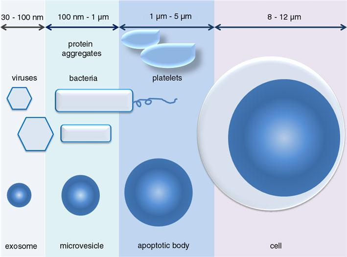 ΚΥΣΤΙΔΙΟΠΟΙΗΣΗ Microvesicles/Microparticles Μικρά και