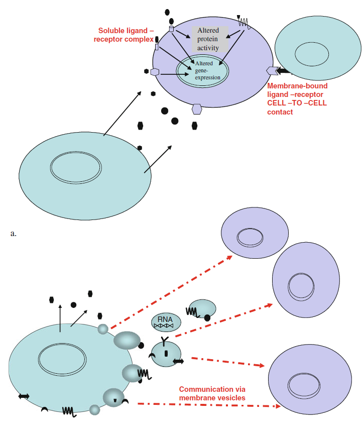 ΚΥΣΤΙΔΙΟΠΟΙΗΣΗ Microvesicles/Microparticles Καινούριος και αποτελεσματικός μηχανισμός διακυτταρικής επικοινωνίας /σηματοδότησης Κλασσικό vs.