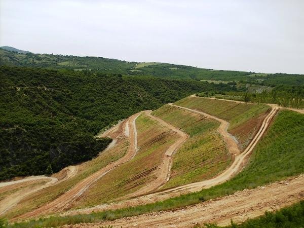 όλη την έκταση των επικλινών επιφανειών, ενώ το πλατάνι και το σκλήθρο μόνο στο κατώτερο τμήμα των αποθέσεων, όπως επίσης και στις πιο υγρές θέσεις της περιοχής.