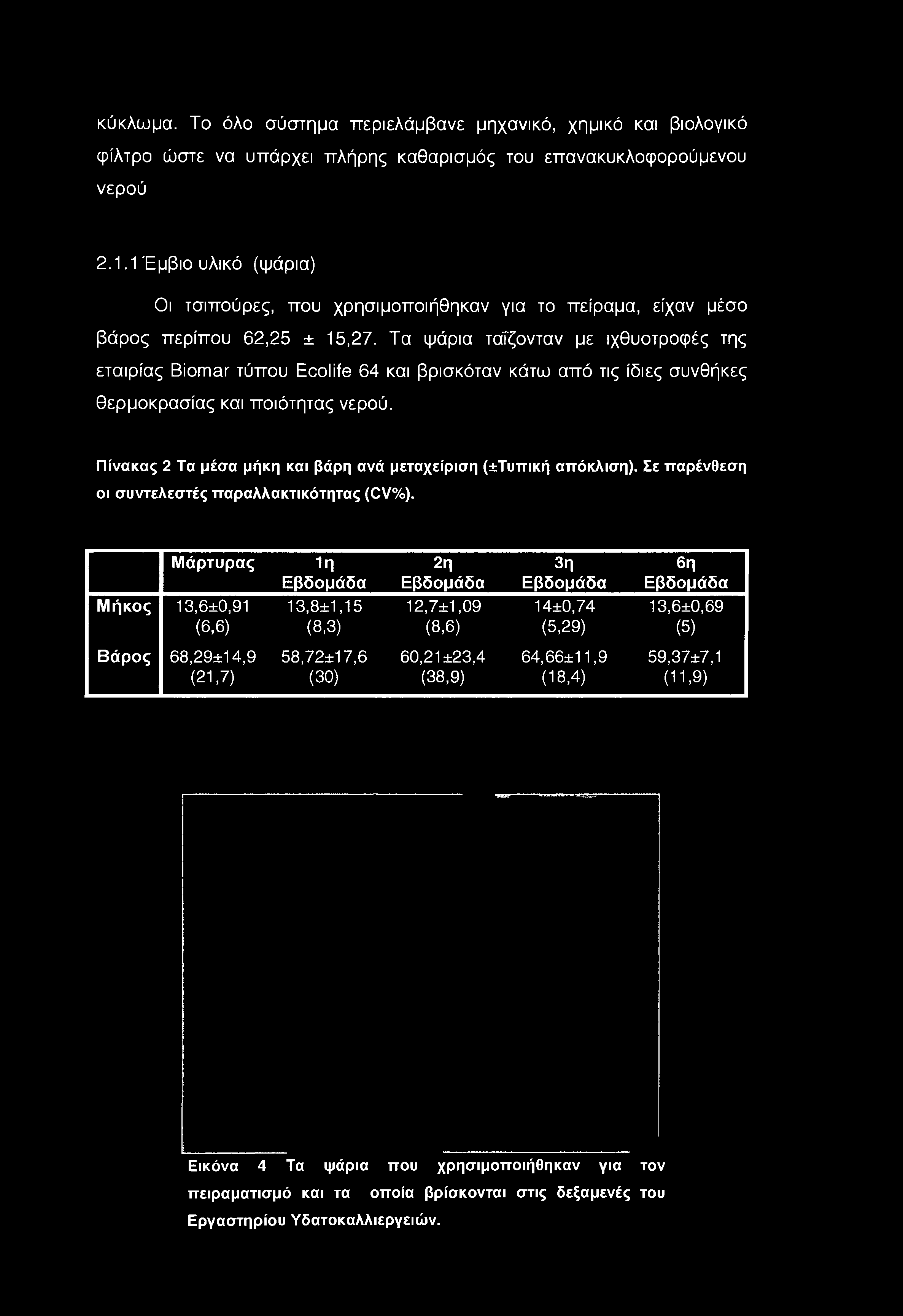 Μάρτυρας Μήκος 13,6±0,91 (6,6) 1ή Εβδομάδα 13,8±1,15 (8,3) 2η Εβδομάδα 12,7±1,09 (8,6) 3η Εβδομάδα 14±0,74 (5,29) 6η Εβδομάδα 13,6±0,69 (5) Βάρος