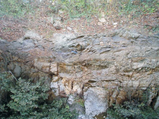 Φωτ. 5 : Μακροσκοπικές εικόνες των