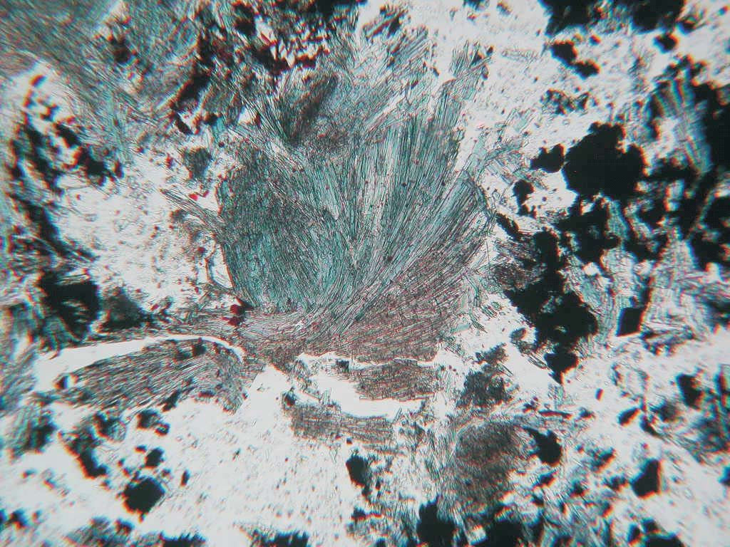 Rib α Rib β Φωτ.