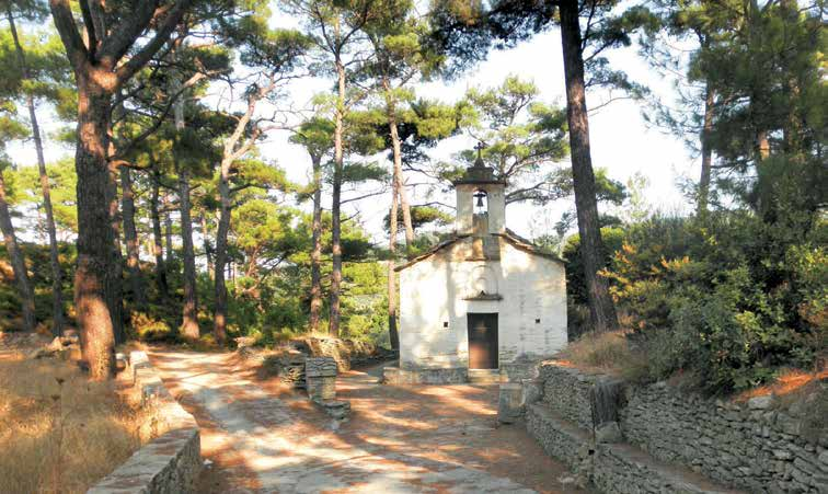 Biodiversity The Athera range, on the southwest side of Ikaria, is home to rare plants, such as the Turkish pine and the coronilla, and a rich variety of birds.