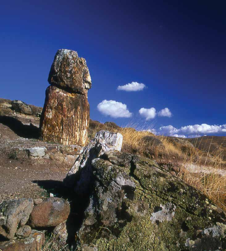 The endless olive groves, pine forests, oaks, walnut trees and rare flora, as well as the unique volcanic landscape of the western side of the island, with the petrified forest, compose its outdoor