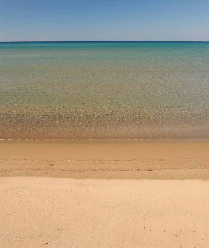 The sand dunes can be reached at the end of an impressive route through wild olive trees, astivia bushes (Poterium spinosum) and asphodels along Gomati beach.