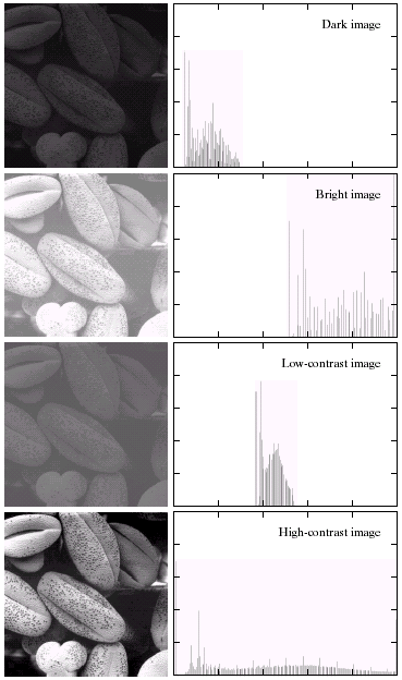 9 Histogram Examples (cont ) A selection of images and their