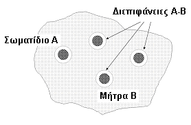 2). [135] Όλα τα παραπάνω είναι παραδείγματα διφασικών συστημάτων (A-B), στα οποία η φάση Α αποτελείται από κενά στο εσωτερικό της μήτρας Β, όπως φαίνεται στο σχήμα ΙΙ-2.1. Σχήμα ΙΙ-2.