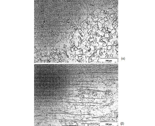 Σχήμα 1.14 : Μικροδομή 304 ωστενιτικού ανοξείδωτου χάλυβα (α) πλήρως ωστενιτική, (β) ωστενιτική και φερριτική.