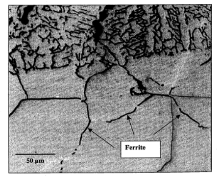 Σχήμα 1.31 : Φερρίτης στα όρια των κόκκων στην Θ.Ε.Ζ. του 304L ανοξείδωτου χάλυβα. Ο σχηματισμός του φερρίτη στα όρια των κόκκων της Θ.Ε.Ζ. εμποδίζει την αύξηση του κόκκου και ελαχιστοποιεί την πιθανότητα δημιουργίας ρωγμών υγροποίησης στη Θ.