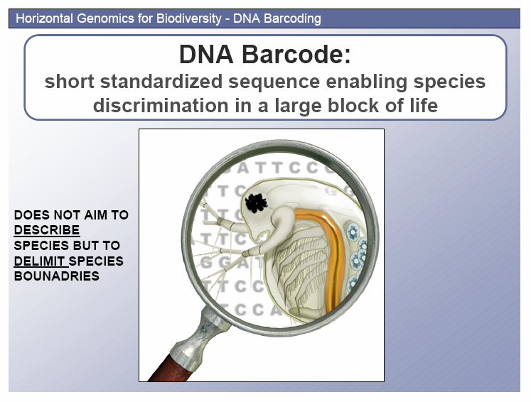 DNA Barcode: Μικρές τυποποιημένες αλληλουχίες που θα βοηθήσουν στη διάκριση των ειδών σε ένα