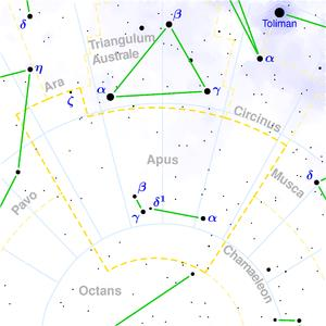 Πτηνόν Apus Είναι αστερισμός που σημειώθηκε πρώτη φορά το 1603, από τους Keyser και Houtman στην Ουρανομετρία τους, και είναι ένας από τους 88 επίσημους αστερισμούς που θέσπισε η Διεθνής Αστρονομική