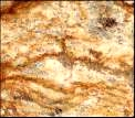 Japorana, Βραζιλία