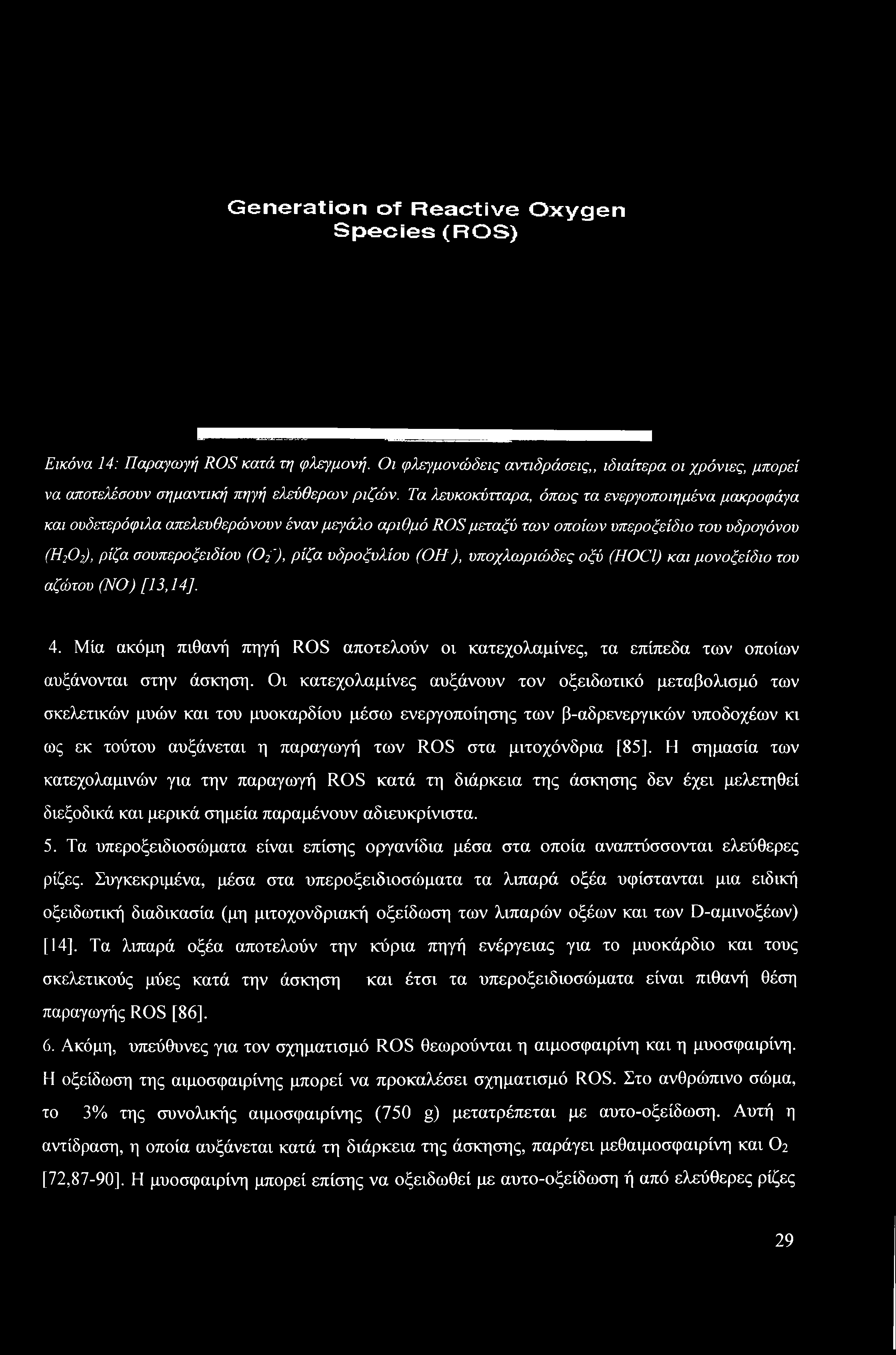 (ΟΗ), υποχλωριώδες οξύ (HOCI) και μονοξείδιο του αζώτου (NO) [13,14]. 4. Μία ακόμη πιθανή πηγή ROS αποτελούν οι κατεχολαμίνες, τα επίπεδα των οποίων αυξάνονται στην άσκηση.