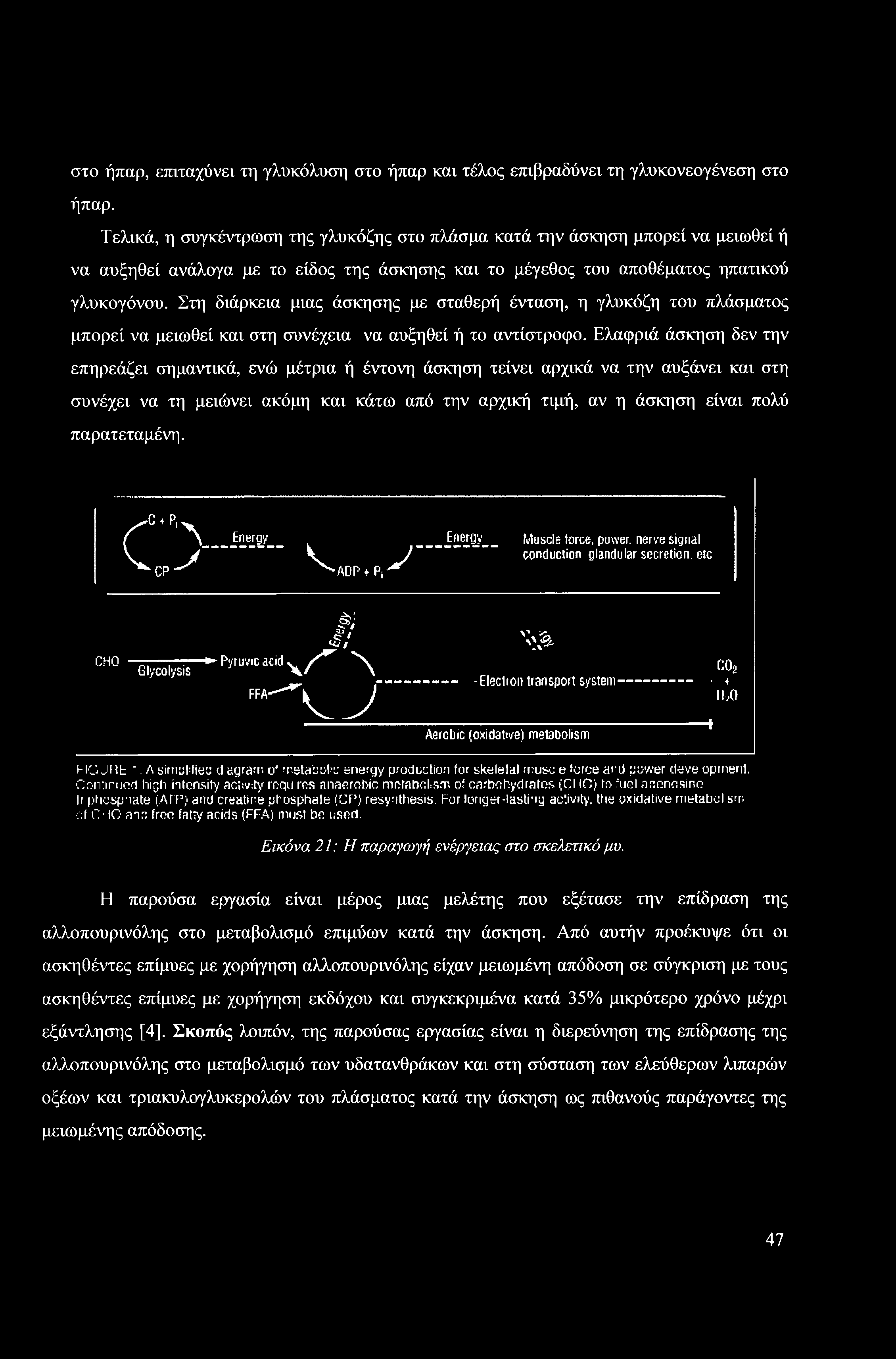 παρατεταμένη. ο^cp Energy ^ ADPfPi^ Energy Muscle lores, power, nerve signal conduction glandular secretion, etc CHO Glycolysis & 4?