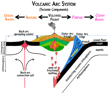ΤΜΗΜΑΤΑ ΤΗΣ ΖΩΝΗΣ ΚΑΤΑΔΥΣΗΣ Η οπισθότοξη περιοχή (back arc), με τον σχηματισμό της εσωτερικής οπισθότοξης και αβαθούς θαλάσσιας λεκάνης Το ηφαιστειακό τόξο (volcanic arc) Το εμπρόσθιο τόξο (fore