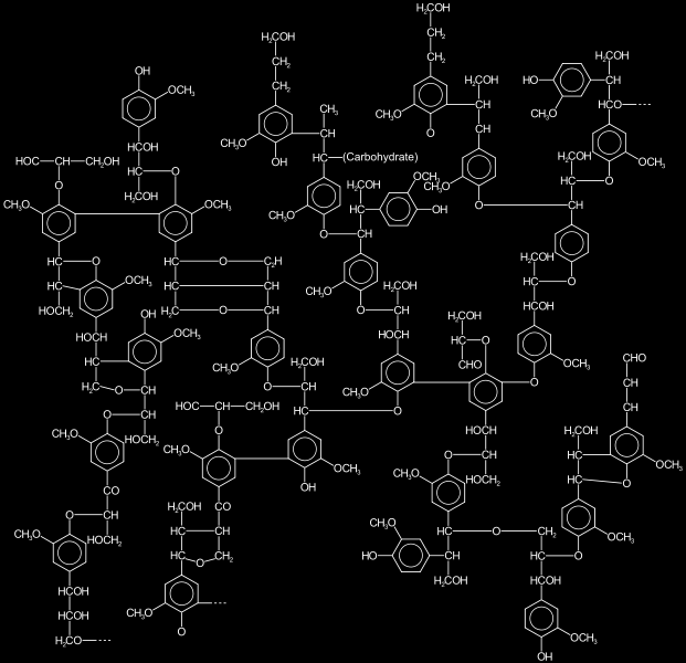 Λιγνίνη - Lignin Equi-Agry: efficiency and equity trade