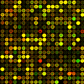 Introduction to Bioinformatics 260.602.